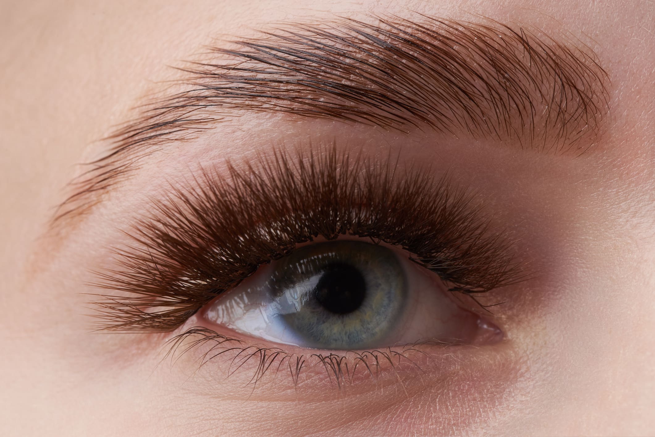 Eye with thick eyelashes and groomed eyebrow